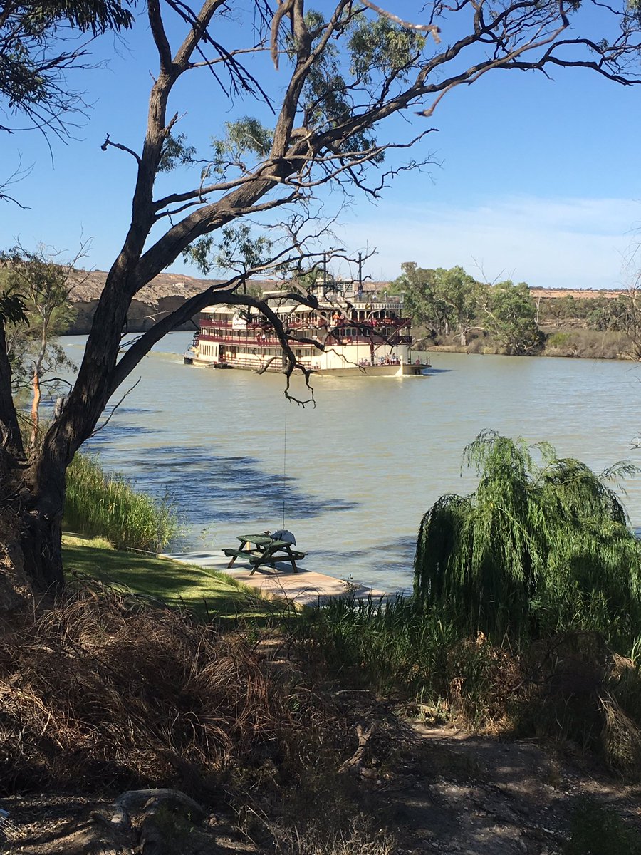 maxbert_SA's tweet photo. And an hour later, our next bit of “traffic” goes past. #CruisingLife #Nildottie #PSMurrayPrincess #MurrayRiver #RiverMurray https://t.co/g0DlWJGoW5