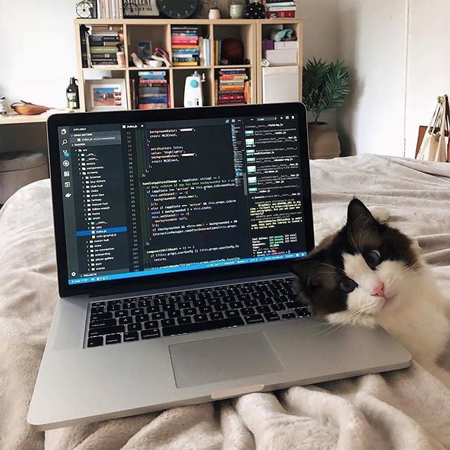 SchoolPapr's tweet photo. Views! 📸 @erinfox https://t.co/E5Jg7WZhYX https://t.co/MqcmOLDOnu