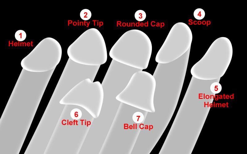 Fess up, what shape head do you have?! 

🐓 

#cock #dickhead #penis #swingers