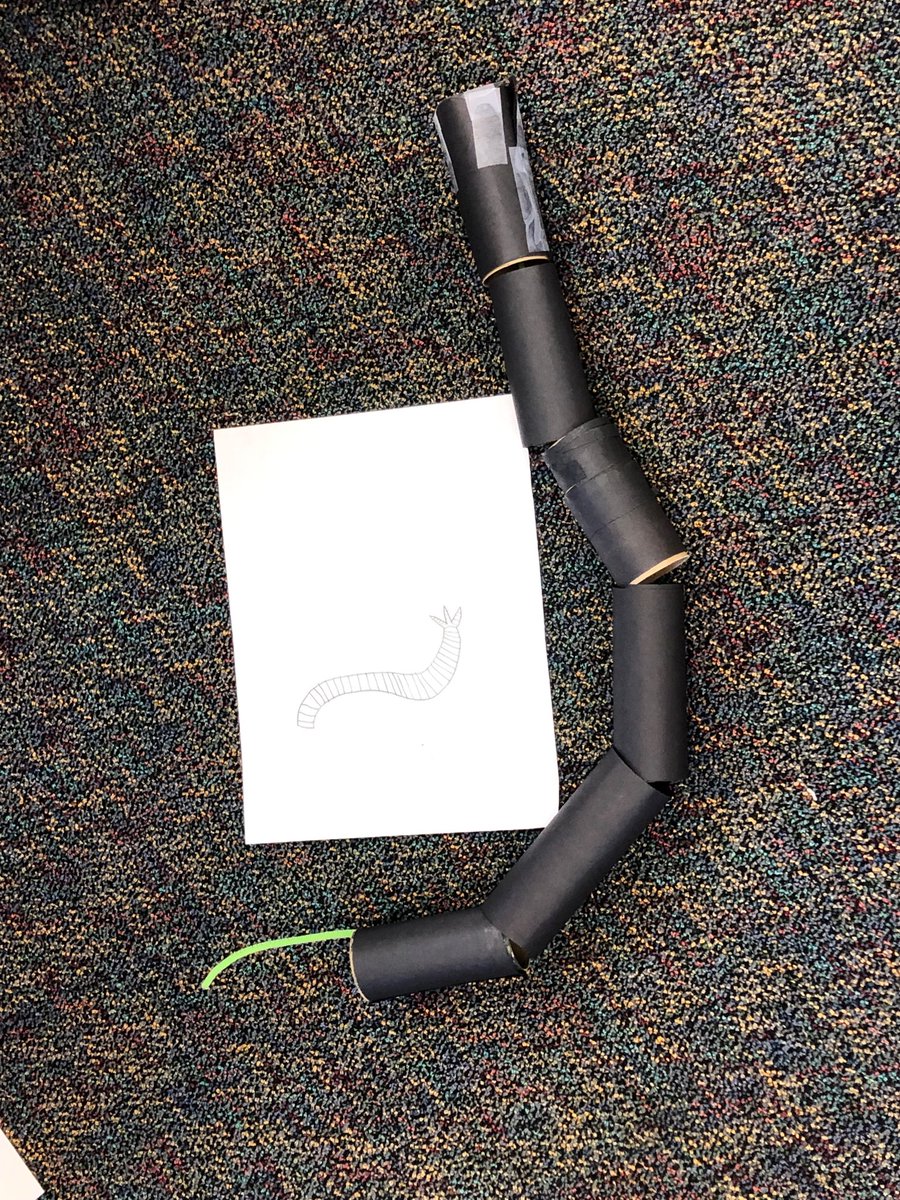 AnneDoyle2's tweet photo. 4th gr. Learning about Biomimicry. Elephants trunk inspires robotic arm! #rsd13ct #memorialr13 https://t.co/6a07q6uPBE