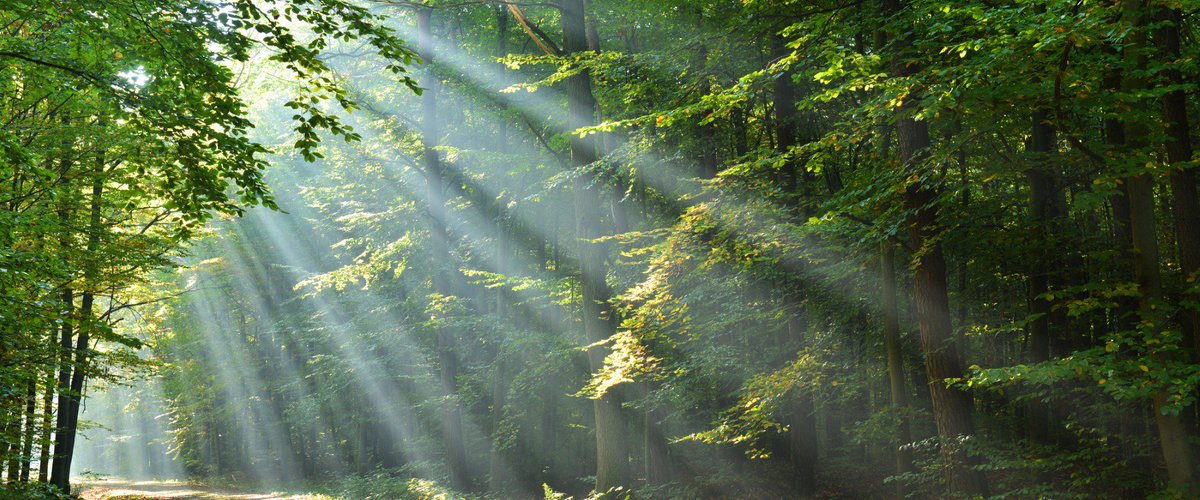 NobleOak Life Ltd tweet media