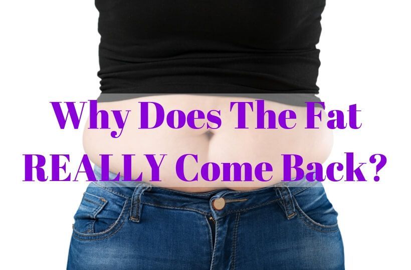 SheSparkChat's tweet image. We know the struggle of losing weight only for it to come right back. Angela Muller, RN, BSN, RNC helps clear up the reason behind this and how we can avoid it in the future! 

buff.ly/2HJDJpv

#fatloss #faddiets #HealthyLife #healthylifestyle