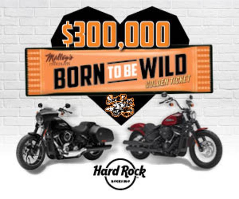 CitiviewCLE's tweet photo. Check out the exciting #February #2019 #promotions at #HardRock #Rocksino #NorthfieldPark near #Cleveland and enter the $300,000 Born to Be Wild Golden Ticket #Giveaway! @HRRocksinoNP Get all the details here ✨🏍💵🏍👉🏼https://t.co/NI3gtCj6lS https://t.co/lGVtUvsMIx