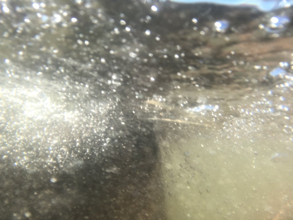 MariaBecerra22's tweet photo. Intente sacar fotos bajo el agua y salio esto https://t.co/DHfQq0DXmg