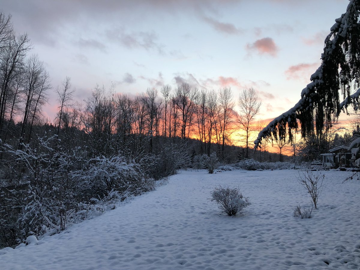 AshleyTrease's tweet photo. And just when I thought this day couldn’t get more beautiful...  #beautiful #snowday #seattle @NWSSeattle @KSeattleWeather https://t.co/oXtUV6CG49
