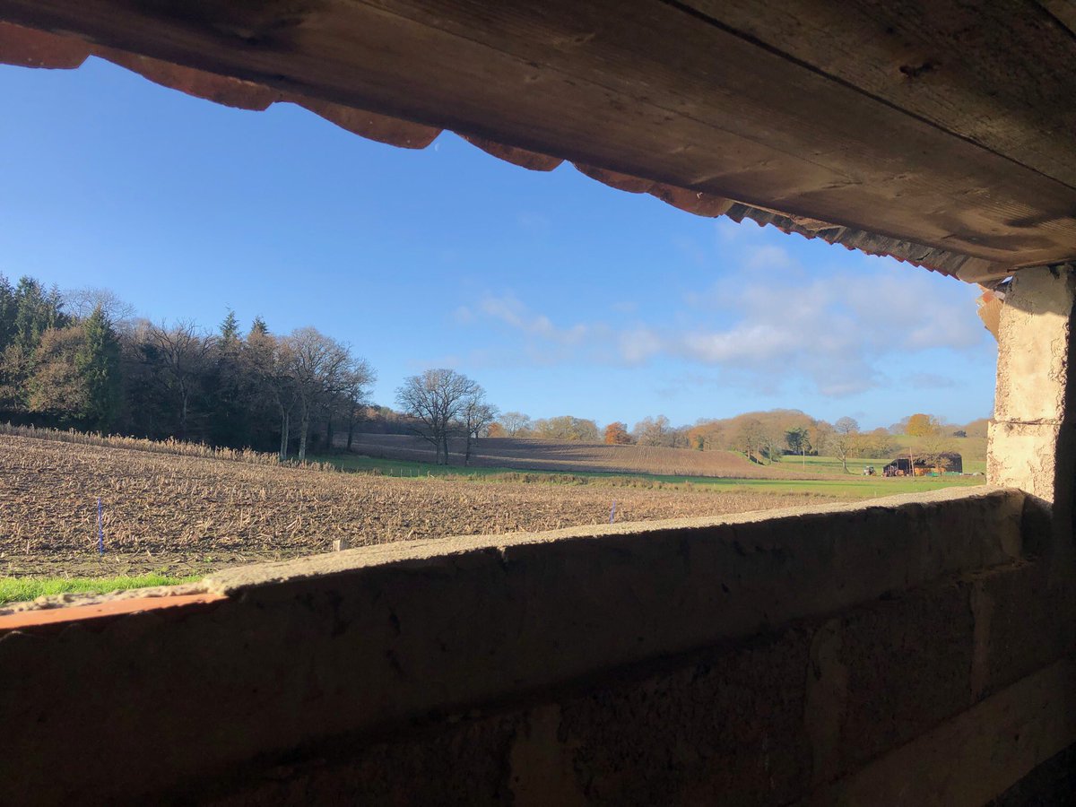 JamesGrayley's tweet image. Work in Progress | Landscapes & Roof Lights. Winter morning site survey for a new project in Wiltshire that will convert a former dairy building into a new home #architects #architecture #architectureprojects