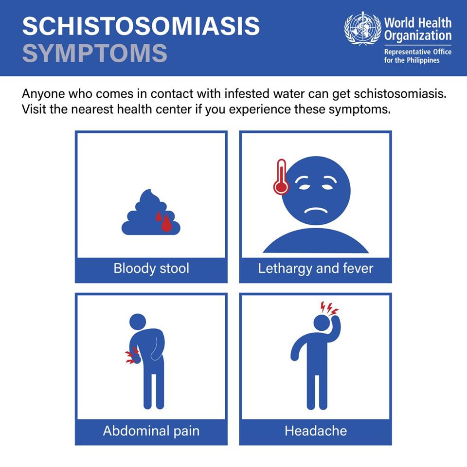 World Health Forum WHFOfficial Twitter Profile Sotwe