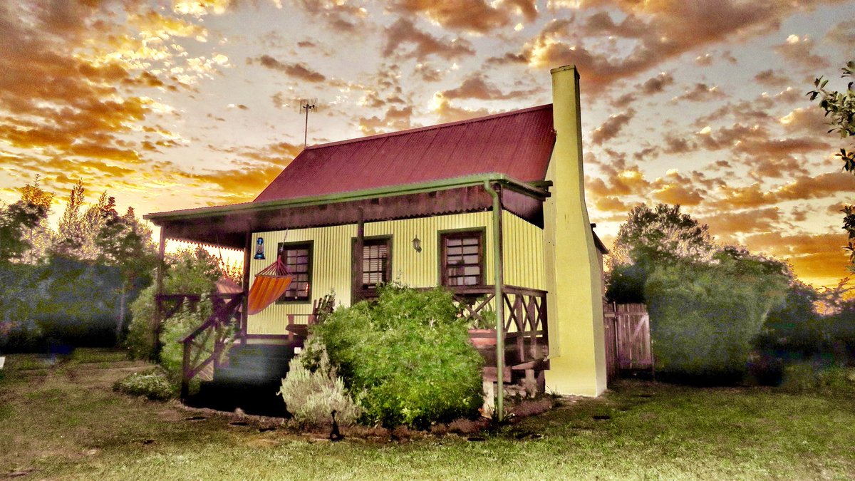 Forest_Edge tweet media