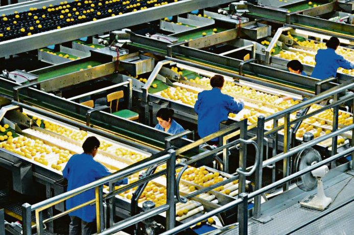 Ambitocom's tweet image. #Limoneira: llega al país gigante citrícola estadounidense 

Por @yayaninaa 

 ambito.com/c5014223?utm_s…