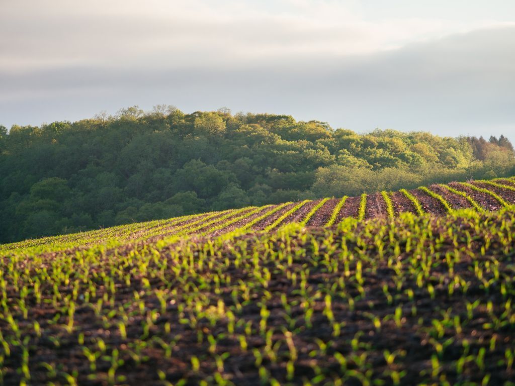 FAO's tweet photo. Nearly 30% of the world’s agricultural land is currently occupied to produce food that is ultimately never eaten.

Our food and natural resources are too precious to waste. We can all reduce our #foodwaste! 

#ZeroHunger https://t.co/OcrqDdGkL1