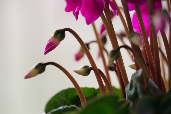 君原健二 Twitter Search Twitter