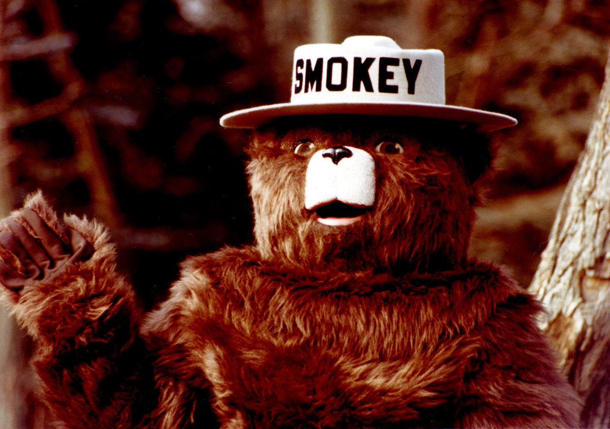 ForestServiceNW's tweet photo. We’re thrilled to celebrate with our great ole’ pal @smokey_bear all throughout this year, as he turns 75! You just keep getting more handsome &amp; wise all the time! “Only you can prevent #wildfires!” https://t.co/V9kb72eL7O