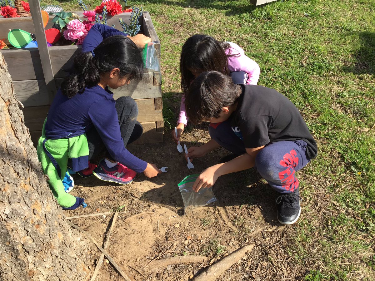 Awilkdce's tweet photo. @DCEtrailblazers Gathering soil samples in the garden.  What is soil made up of? @dchavarria05 @OutTeachEd #dcedli #CISDCOVERSTORY https://t.co/Pu36lAVVC7