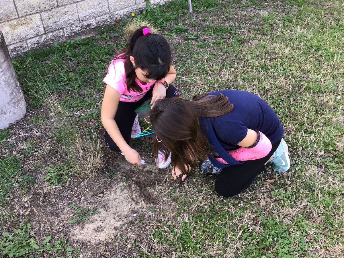 Awilkdce's tweet photo. @DCEtrailblazers Gathering soil samples in the garden.  What is soil made up of? @dchavarria05 @OutTeachEd #dcedli #CISDCOVERSTORY https://t.co/Pu36lAVVC7