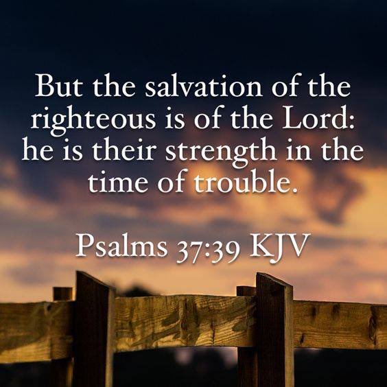 Alan (@elaine_alan) on Twitter photo 