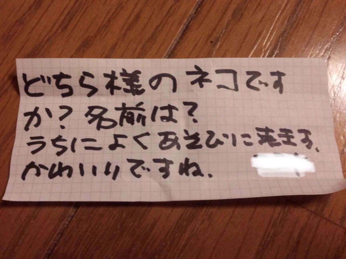 家によく遊びにくるネコの首輪に手紙を結びつけてみたら、返事来たｗｗｗ