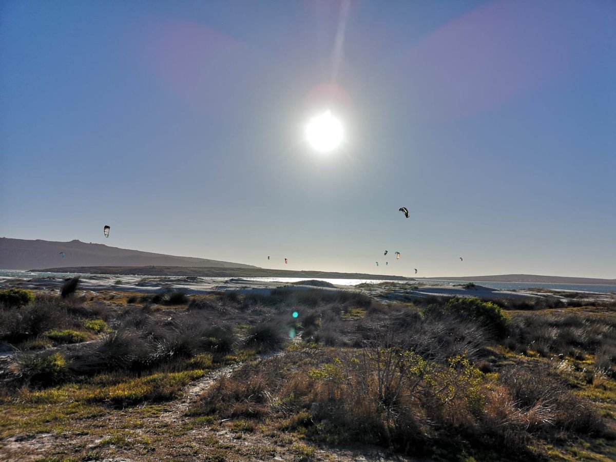 echtzeit_kite's tweet photo. Der #echtzeit #Kitecamp #langebaan #blog ist online. 
https://t.co/N5dVNECWwv https://t.co/m3vCJgVLVl
