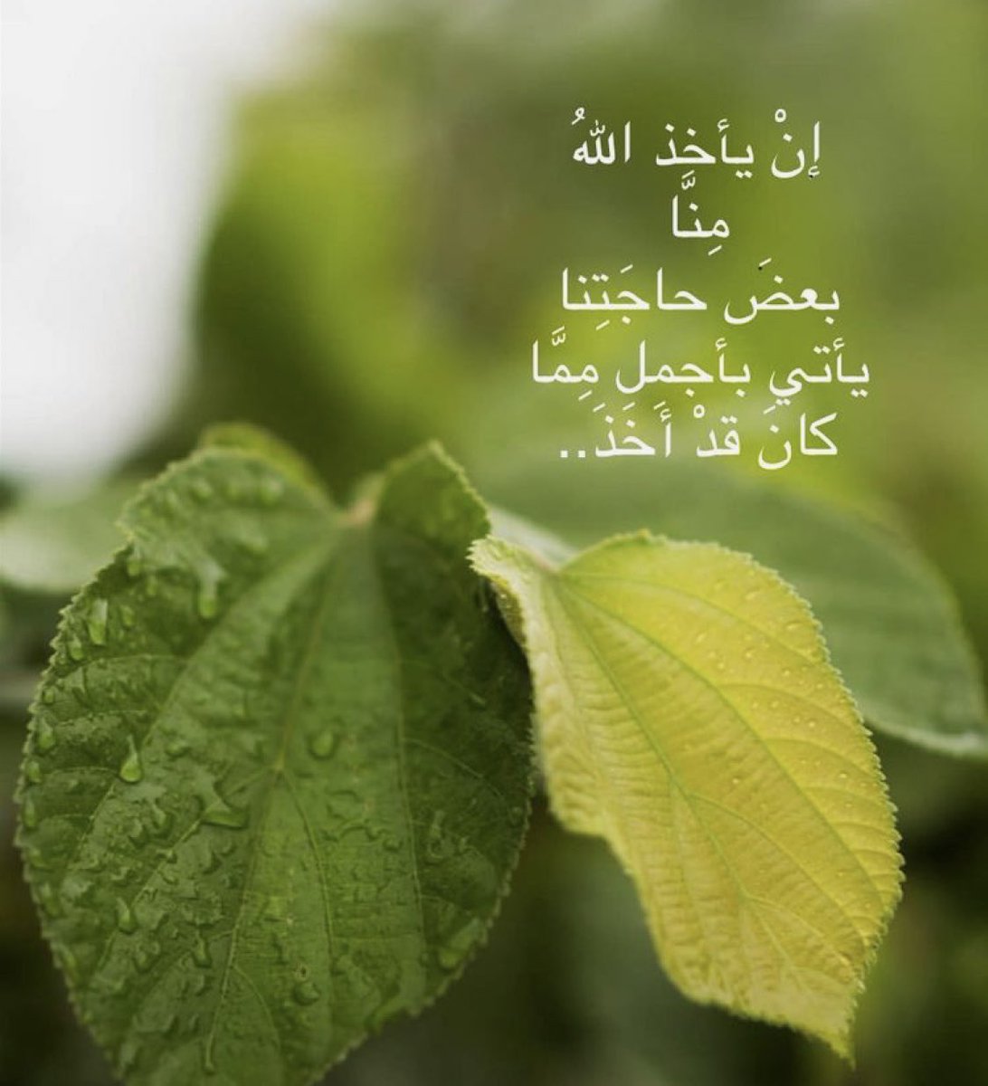 #غرد_بتغريده_يحبها_الله
أقوى عامل لبناءالذات هو
🥀مراقبة الله
وأقوى عامل لهدم الذات هو
🥀مراقبة الناس
من وهب نفسه للدنيا
🥀لن تعطيه الدنيا إلاقطعة من الأرض ليدفن فيها
ومن وهب نفسه لله
🥀سيعطيه الله جنةعرضها السماوات والأرض أعدت للمتقين
اللهم ارزقناوإياكم الفردوس الأعلى من الجنة