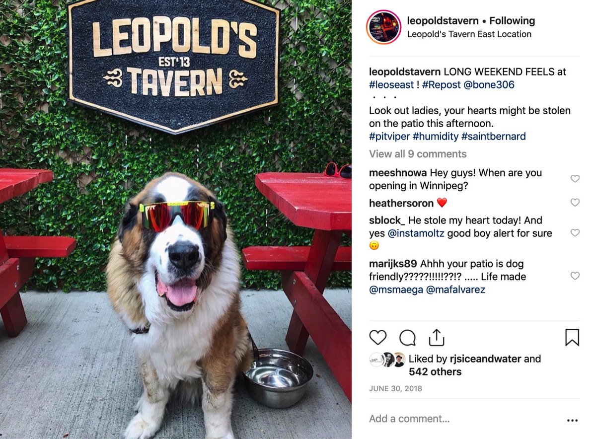 JephMaystruck's tweet photo. What a FUN class! We had the pleasure of hearing @MikeAshYo talking about the @Leopoldstavern story and their social media strategy. Could have stayed for a couple more hours listening to those stories!! Thanks for the pints! #lotto317 #pints317 https://t.co/Jg3gyKQqs6