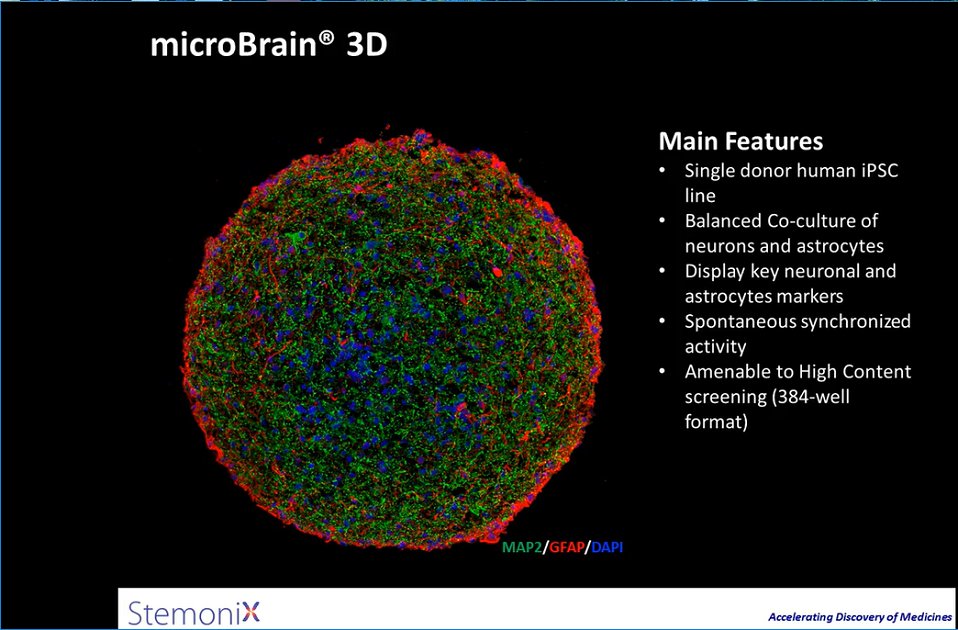 spincotech's tweet image. StemoniX microBrain 3D Assay Ready Plates as a Human iPSC-based Neural Spheroid Platform for High Throughput Drug Screening 
Read more at labroots.com/ms/webinar/str…   #microbrain #MolecularDevices