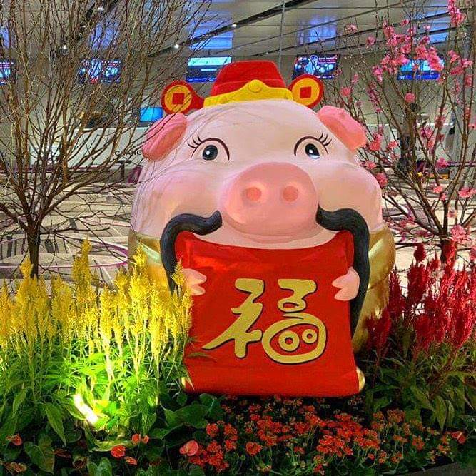 talaalamuddin's tweet photo. Give it a shout from the snoutβHappy New Year! π·πΈ #gongxifacai #gongheyfatchoy #YearofthePig #oink #CNY2019 #ChineseNewYear #Lunarnewyear #offeroranges #TOTALLYprosperous #TOTALLYthankful #TALAsnaps #piggiepics #TOTALLYlucky #TALA #TotallyTALA #getinspired #riserockrepeat https://t.co/gdTBfWfmey
