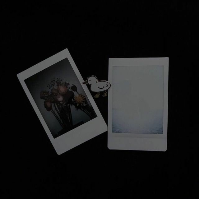 ภูพิงค์ —logout tweet media
