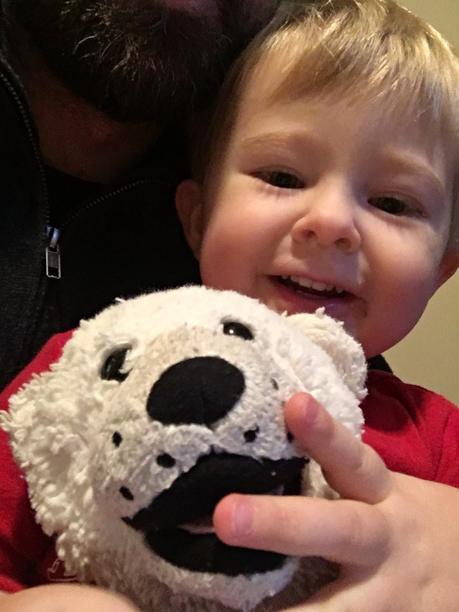 PeakAerial's tweet photo. Hey @Shawhelp, I have a bit of a longshot request. When my son Max was 1 year old, he spent some time at @albertachildren with pneumonia. On a hospital transfer the fantastic EMT gave him a Shaw Bear, who become a very special friend! "Bear" has travelled many miles! https://t.co/iXELpOLWSh