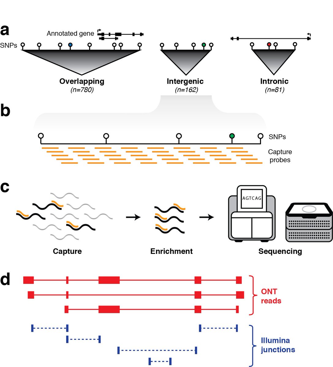 Martin Smith tweet media