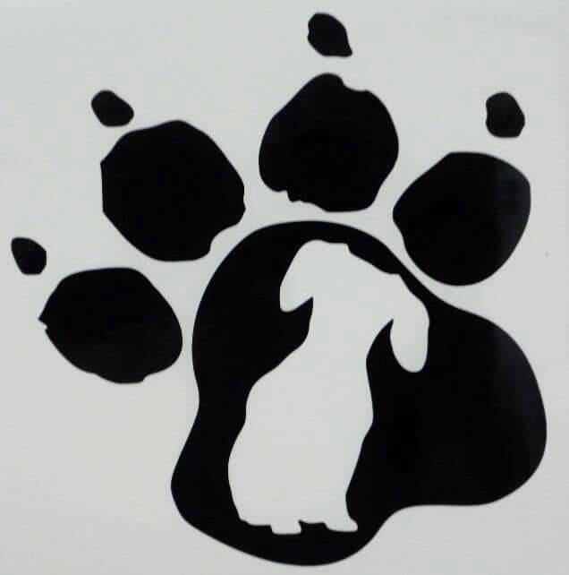 Rexys16's tweet image. 