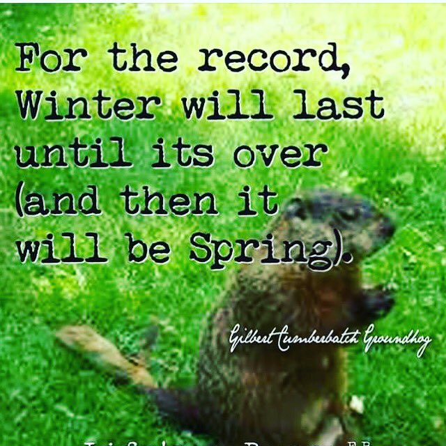 findingthegift's tweet photo. As much as I would sometimes like to fast forward life, I would miss the gifts of today. Spring will be here when winter is over. I’ll be sure to pay attention so I don’t miss any gifts intended for me in THIS season. 😌🙏🏻🎁
🎁 #FindingtheGift #mindfulness #mindset #inspired https://t.co/BDPrVhbY7h