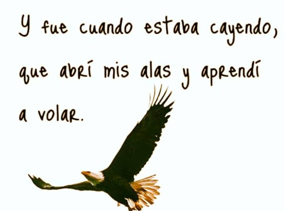 mlluisar's tweet photo. Imposible vivir.. Sin saber vivir 💪💪 https://t.co/Hp8xJMBaEc