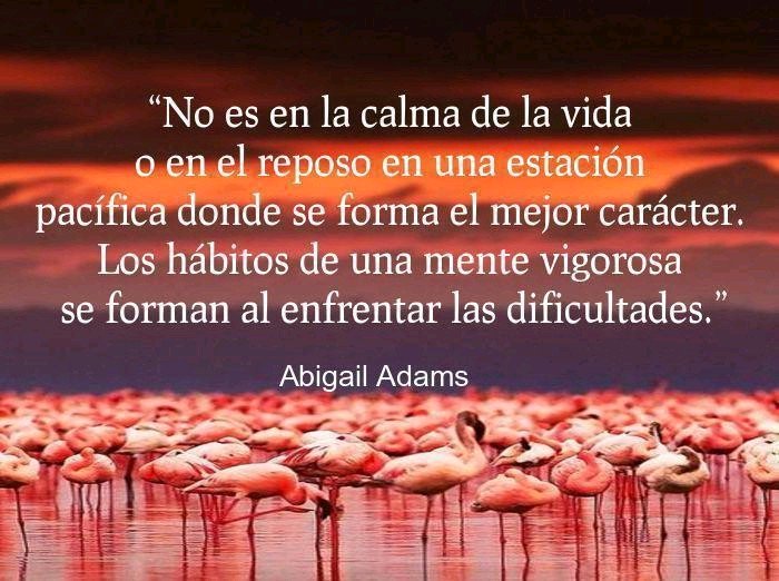 mlluisar's tweet photo. Imposible vivir.. Sin saber vivir 💪💪 https://t.co/Hp8xJMBaEc