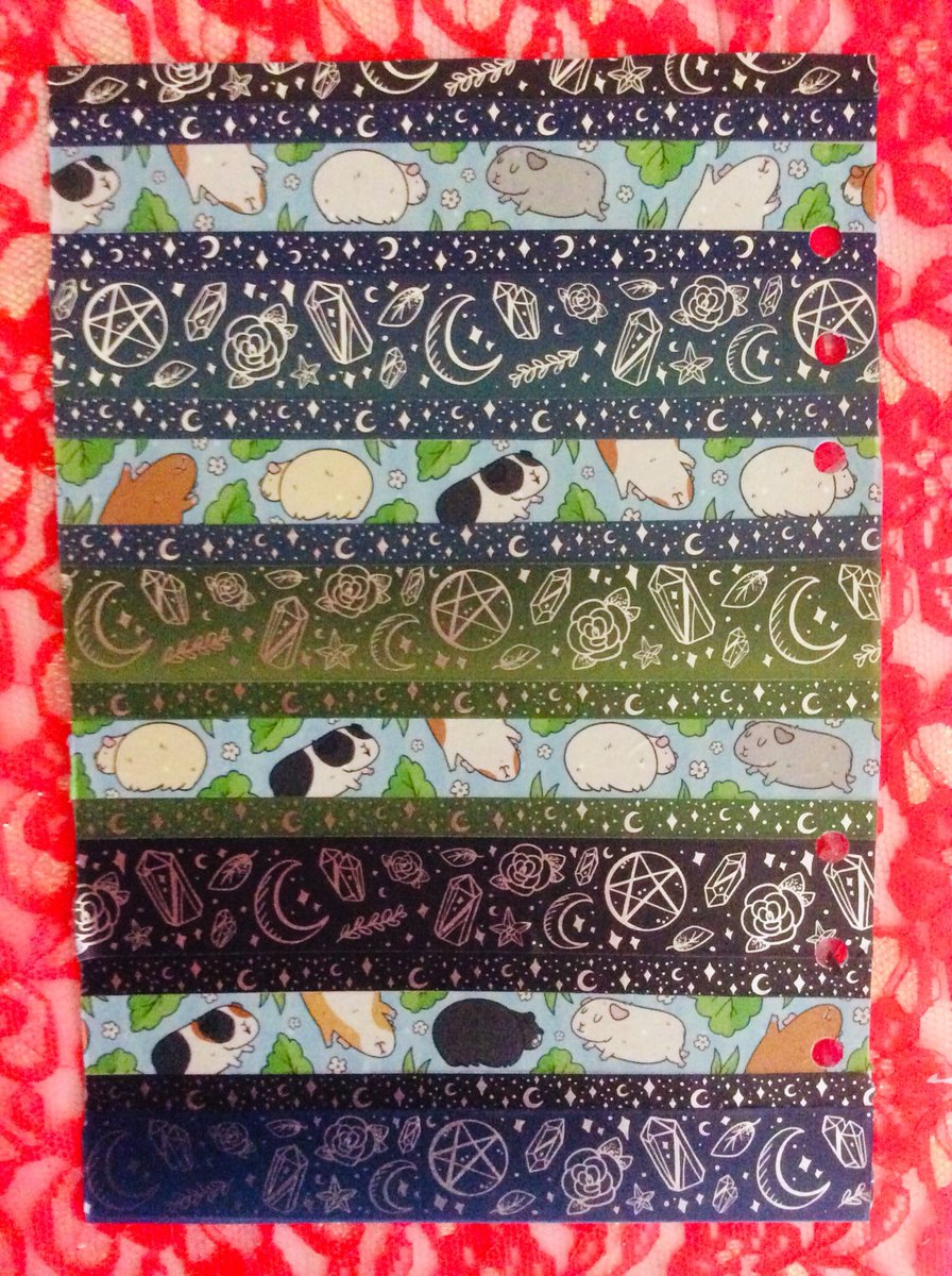 Neish39's tweet photo. New Guinea Pig style front divider. Not perfect but really like the card from @popcorningpiggy and wanted to put it in my planner.😁washi from @foxandcactus #guineapiglover #guineapig #planner #planneraddict #plannergirl #washi #plannerdividers #kikkik #planner2019 #plannerstuff https://t.co/mjfsQVvHkk