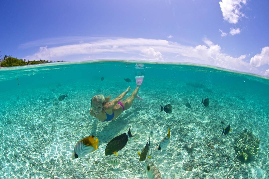 Book your escape to paradise today!
| contact@luxotravels.com | +44 20 8123 5900/+1 (424) 781-3192 |
“A Luxury Collection”
LuxoTravels.com                            

#LuxoTravels #Luxury #Travel #Maldives #Traveling #Vacation #Holiday #DreamHoliday #GlobeTrotting