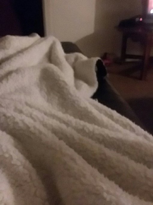 Hope you all have a beautiful night. Goodnight.. https://t.co/3bzIvX3C2y<a href="/tag/newprofilepic"class="tags"><span>#newprofilepic</span></a>