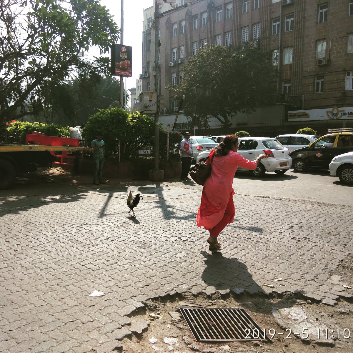 journovidya's tweet photo. While the #woman hails a taxi the #Hen #cukdookoos away in the middle of the road #Churchgate #Busy #street #lifeinacity #Mumbai #Street #Photography #mobilephotography #PictureOfTheDay https://t.co/njbyxV8RdI