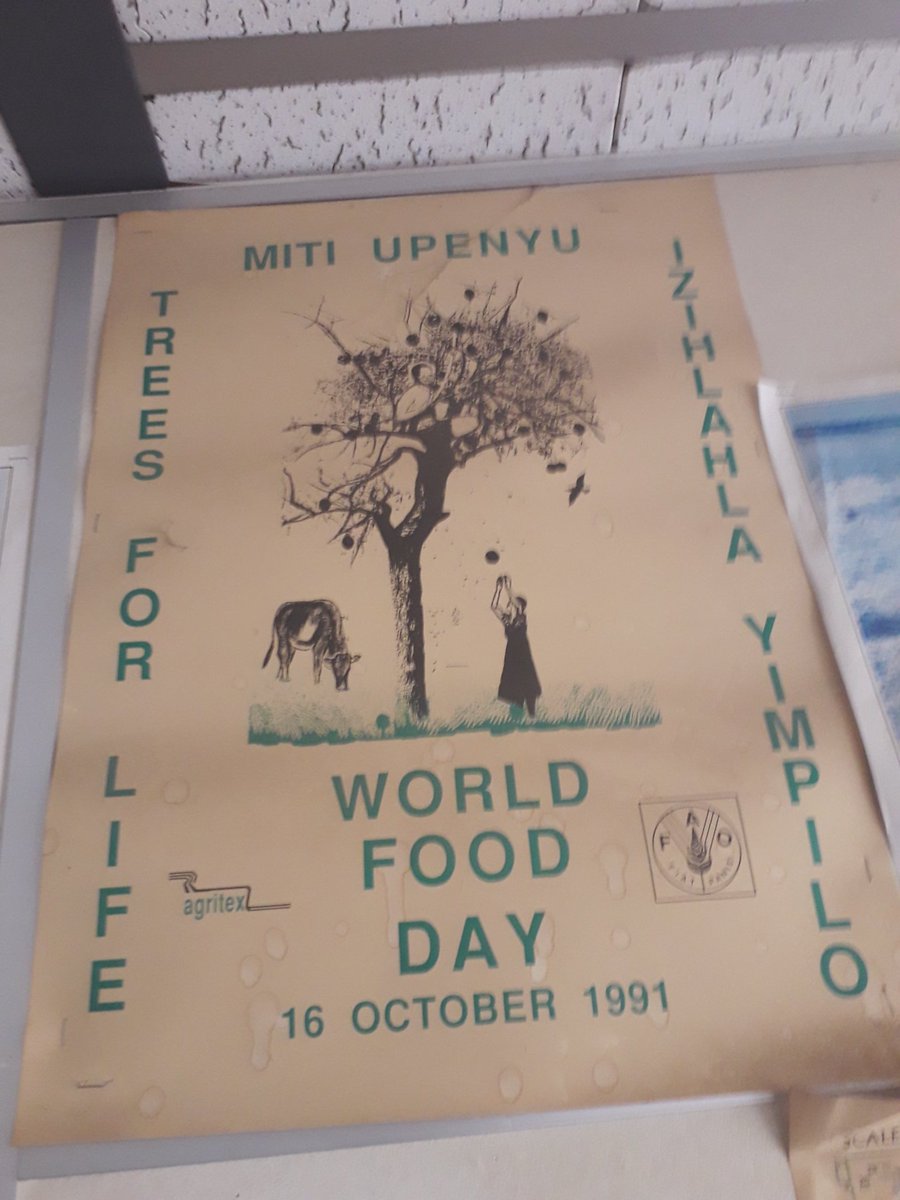 Interesting! I saw this 1991 #wfd poster in Gwanda. Showing the journey travelled to #WFD2018. #ZeroHunger #Zimbabwe