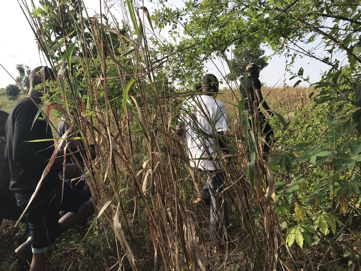 bwfoundation2's tweet photo. Our CEO #BryanWhite and team inspecting more land for #BusunjuProject which will have a Rehabilitation Centre, Technical School and Demonstration Farm to rehabilitate and reform members of Urban Criminal Gangs #BryanWhiteFoundation @BigEyeUG @ShowbizUganda @WByarabaha @PoliceUg https://t.co/q7ZA9qbip5