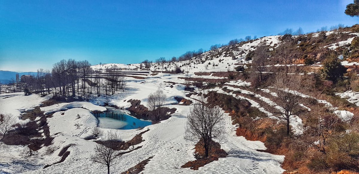 FFARealEstate's tweet image. The beauty of this project reflects on all seasons! Build the home you always dreamt of in the heart of Kfardebian. To learn more about the available land plots at Ahlam Village, call +961 1 960 777, or visit our website ⬇️
ffarealestate.com/development-pr…

#landplot #nature #home