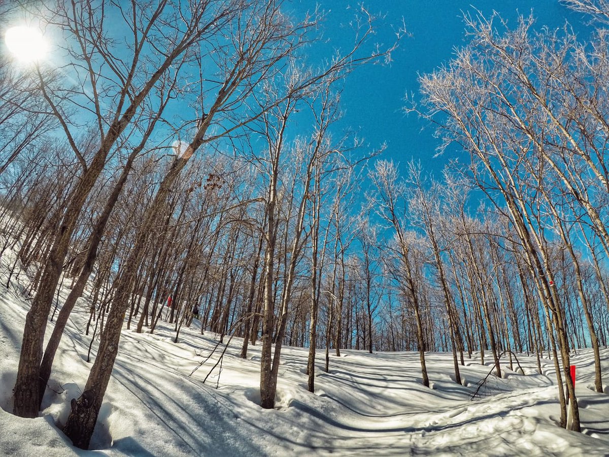 FFARealEstate's tweet image. The beauty of this project reflects on all seasons! Build the home you always dreamt of in the heart of Kfardebian. To learn more about the available land plots at Ahlam Village, call +961 1 960 777, or visit our website ⬇️
ffarealestate.com/development-pr…

#landplot #nature #home