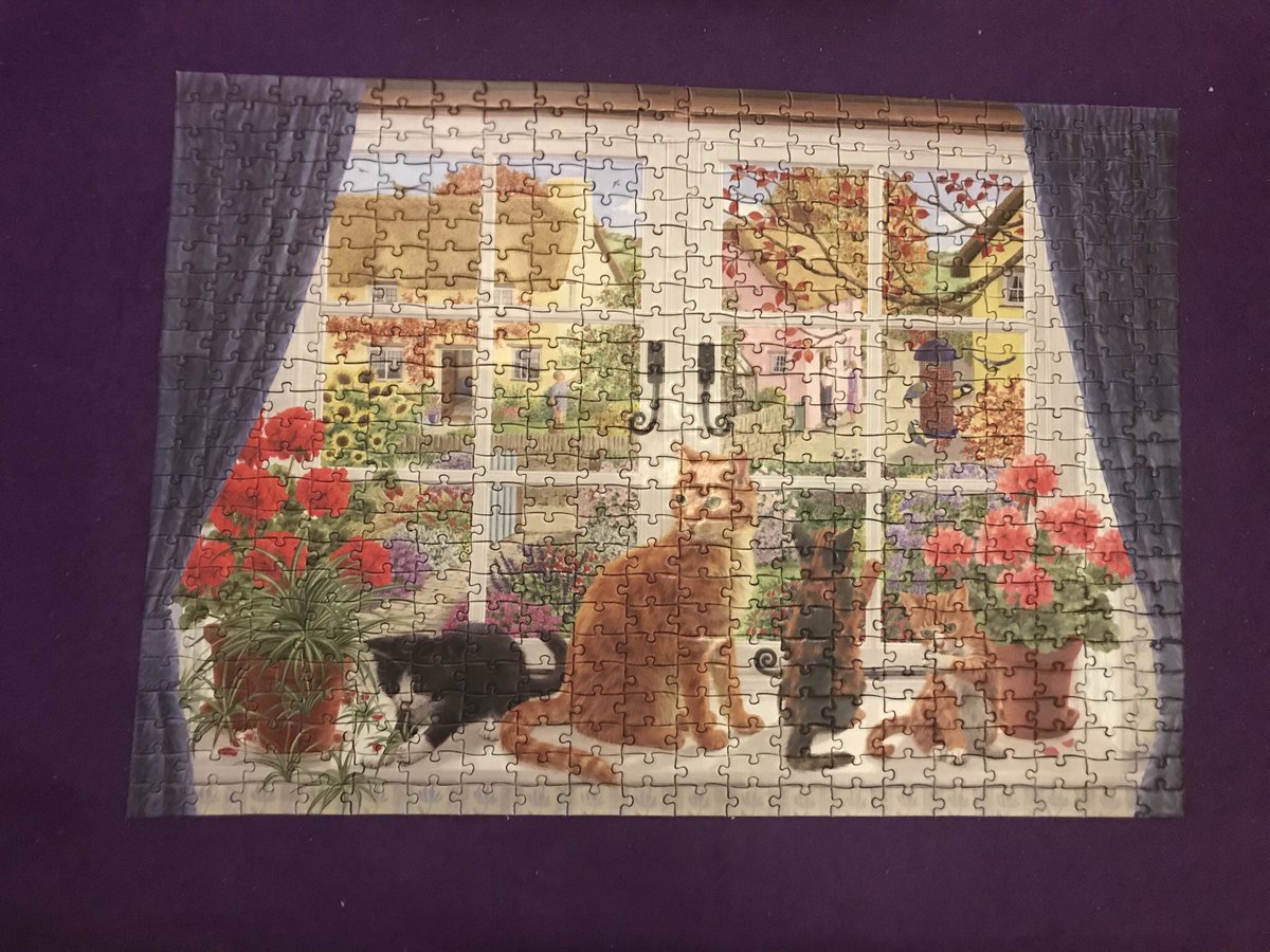 Country_Kelly_1's tweet image. I enjoy jigsaws, they help me relax and help keep my brain active and sharp. 
.
.
.
#jigsaw #simplepleasures #classicfun #oldschoolfun #activebrain #relaxing