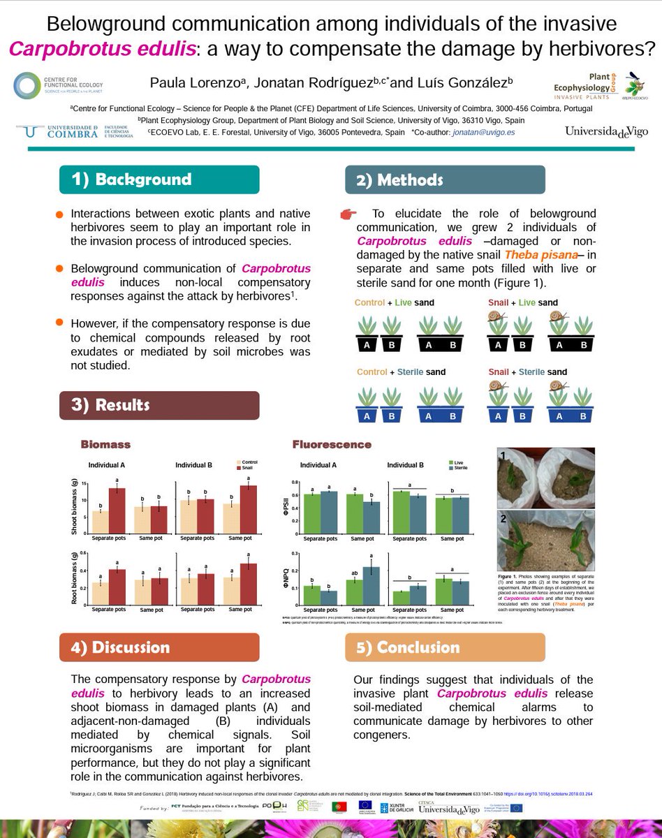 Poster time!! See our poster on the panel GS.02-P-6 #SIBECOL2019 #BiologicalInvasions 

@sibecol @_AEET_ @CFE_UC @uvigo