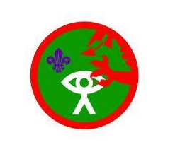 ScoutsCymru tweet media