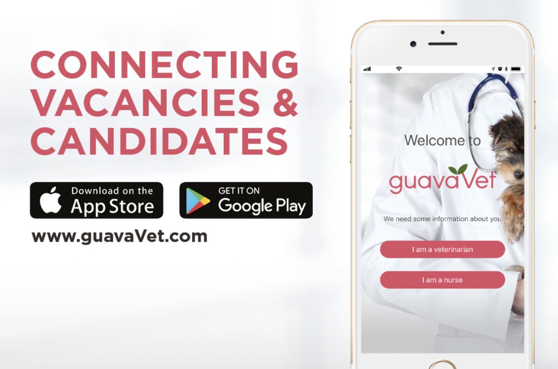 GoodVetPetGuide's tweet photo. It takes less than 5 minutes to post a vacancy on @guavaVet and it will reach matched candidates in seconds! If you're recruiting #veterinarians, #vetnurses or #vetreceptionists visit https://t.co/jCGR5nnYVA #JobSearch https://t.co/0wKvReVCeN