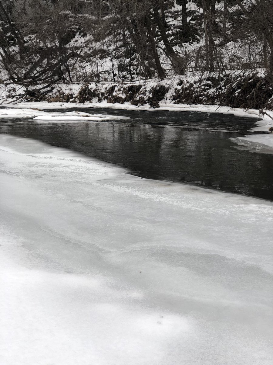 RiverGuideKayak's tweet photo. Good time for a Kinni float! https://t.co/JBEMatN29j