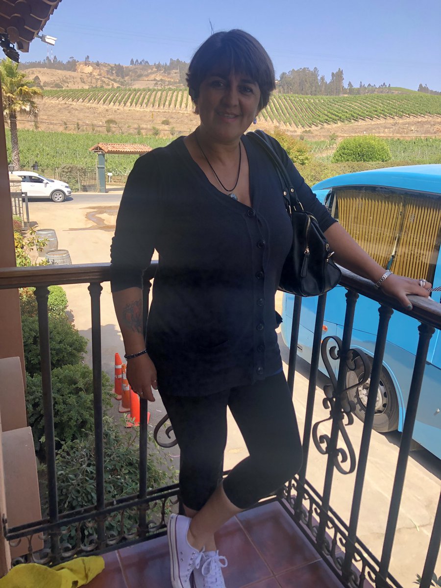 elis coloma tweet media