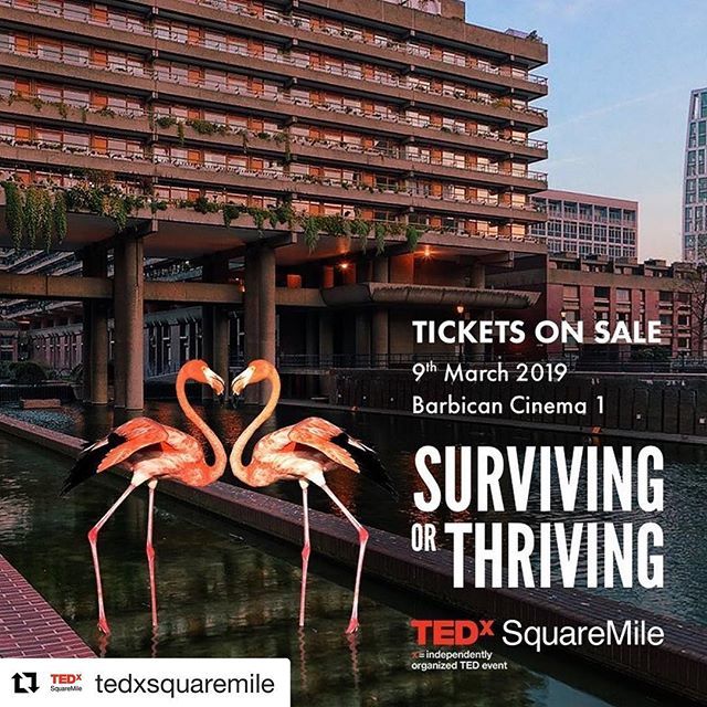 Maud D'Agostini tweet media