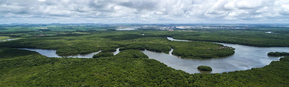 MetOffice_Sci's tweet image. UK-Brazil 🇬🇧🇧🇷#CSSPBrazil project, supported by @NewtonFund, is improving our understanding of how the Amazon rainforest could respond to deforestation and climate change @EdinburghUni bit.ly/2G9ssNn