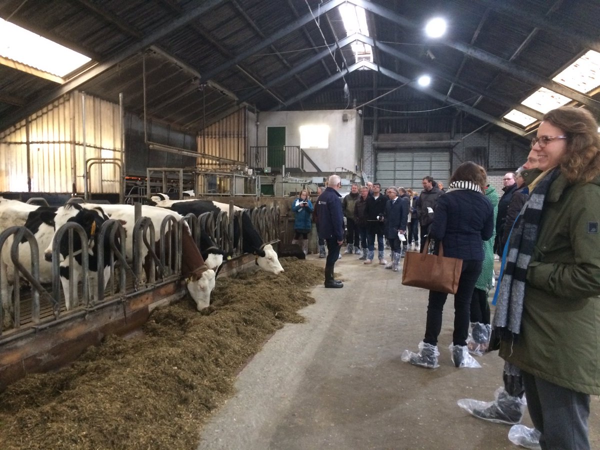 MarijkeAAndela's tweet photo. Rondleiding over proefboerderij De Marke: hoe kan de kringloop sluitend worden gemaakt? #werkplaatsvitaalplatteland https://t.co/YOMOh92q4C