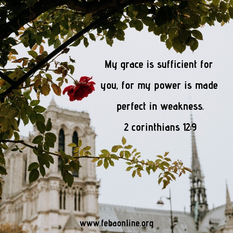febaindia's tweet photo. My grace is sufficient for you, for my power is made perfect in weakness.
2-Corinthians 12:9
#FebaIndia #FebaOnline https://t.co/b0ujAztmGd